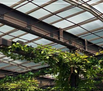 سقف متحرک گلخانه